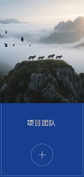 项目团队